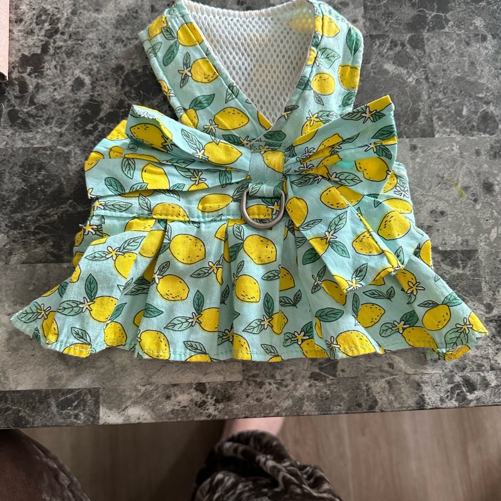 Lemon Print Dog Dress with Bow